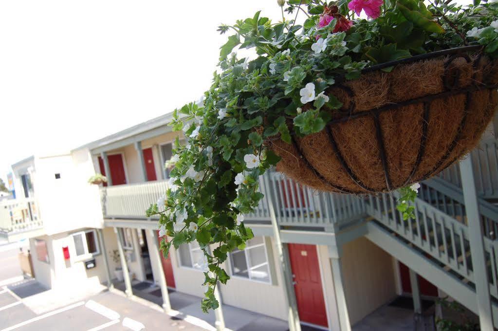 Sandy Cove Inn Сисайд Экстерьер фото